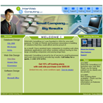 Website design in 2006 for Interweb Consulting in MI