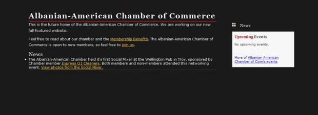 portfolio screenshot for albanian chamber of commerce website design