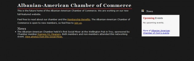 portfolio screenshot for albanian chamber of commerce website design