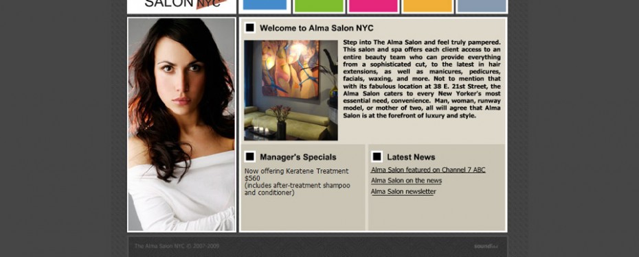 alma salon in Manhattan, NY website design portfolio screenshot