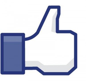 facebook page design and management in detroit mi