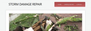 screenshot for storm damage repair website in troy