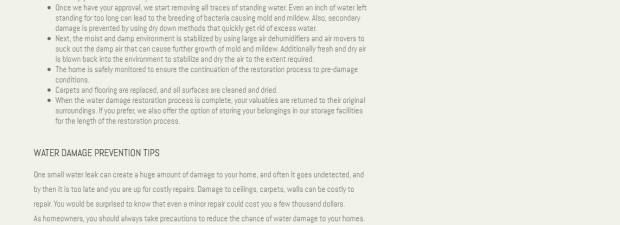Screenshot for basementwaterdamagedetroit.com website design