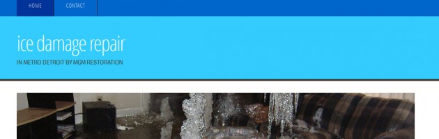 Screenshot of website for ice damage repair in troy