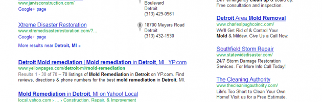 mold cleanup detroit SERP results by SEO company