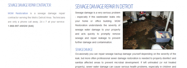 Screenshot for website design of sewagedamagedetroit.com in Metro Detroit