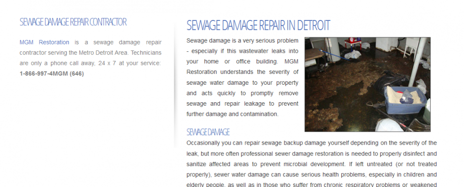 Screenshot for website design of sewagedamagedetroit.com in Metro Detroit